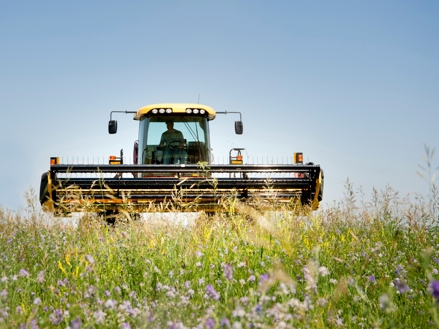 Novo Nordisk støtter Klimafonden Skive